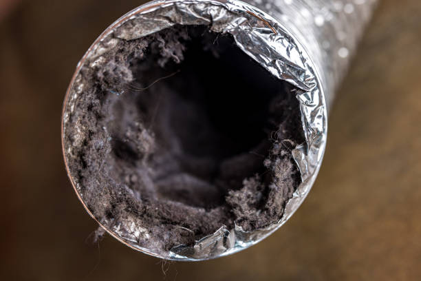 Best Duct Cleaning for Offices  in Maple Valley, WA