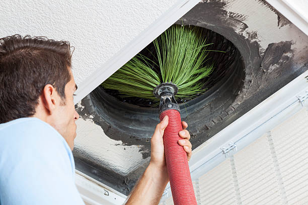 Best Air Duct Cleaning Near Me  in Maple Valley, WA
